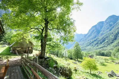 a barn in a field with a tree and mountains at Alpine house Antonia in Trenta