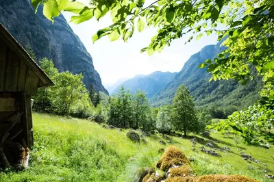 a field of grass with mountains in the background at Alpine house Antonia in Trenta