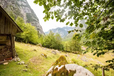 a grassy hill with a house and a view of a mountain at Alpine house Antonia in Trenta