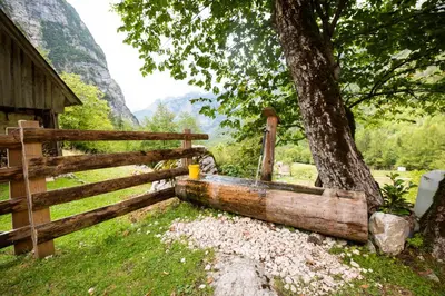 a wooden fence and a tree next to a tree at Alpine house Antonia in Trenta