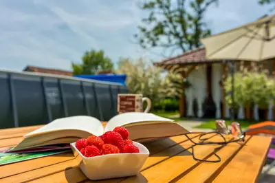 a bowl of strawberries on a table with an open book at Kolpa reka 