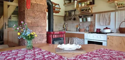 a kitchen with a stove and a table with a vase of flowers at MOUNTAIN ECO CHALET KONJSKA DOLINA on 1400 m asl -near Pokljuka in Srednja Vas v Bohinju