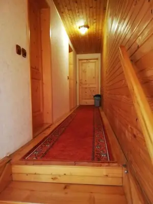 an empty hallway with a red carpet in a house at PENZIJON URBANC in Lovrenc na Pohorju