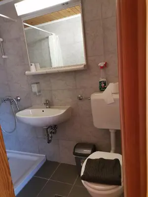 a bathroom with a sink and a toilet and a mirror at PENZIJON URBANC in Lovrenc na Pohorju