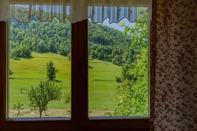 a window with a view of a green field at Apartment Vrhivšek in Frankolovo