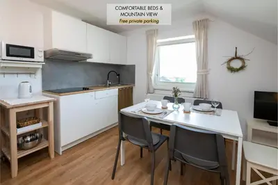 a kitchen with a table and chairs in a kitchen at Apartmaji Rauter in Bohinj
