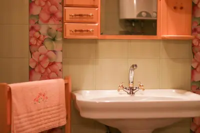 a bathroom with a sink and a mirror at House Alpine Rose in Mojstrana