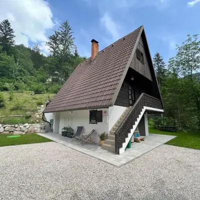 Our Forest House