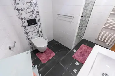 a bathroom with a toilet and a shower with pink mats at Holiday house Zupanc in Bohinj