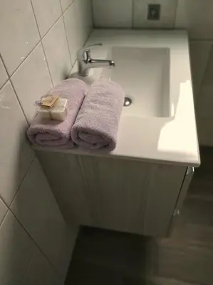 a bathroom sink with purple towels on a counter at Eko kmetija Gerbec in Grahovo