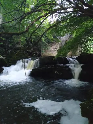 a river with rapids in a forest with trees at Eko kmetija Gerbec in Grahovo