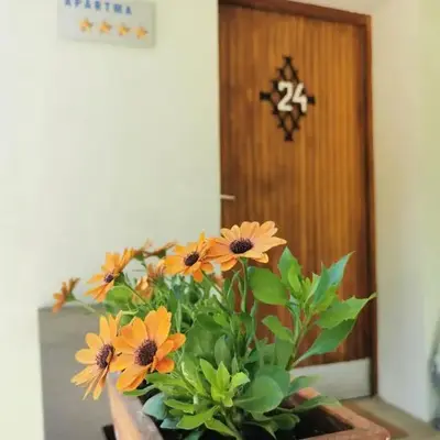 Apartma Rekar - a house