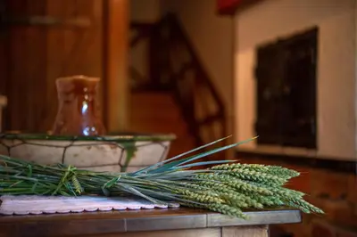 a bunch of greens sitting on a table next to a vase at House Donačka Gora in Rogatec