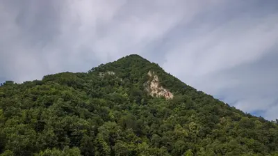 a mountain covered in trees on a cloudy day at House Donačka Gora in Rogatec