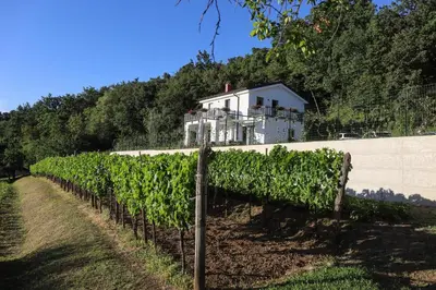 a fence in front of a wall with a house in the background at Hisa dobrega pocutja in Kozina