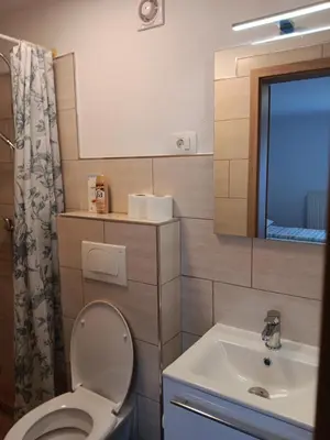 a bathroom with a toilet and a sink and a mirror at turistična kmetija pr mark in Trebče