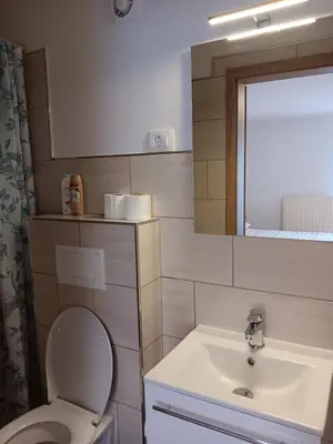 a bathroom with a toilet and a sink at turistična kmetija pr mark in Trebče
