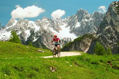 a person riding a bike on a path in front of mountains at Apartma Gaja in Kranjska Gora