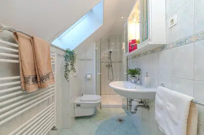 a bathroom with a sink and a toilet and a shower at Apartma Gaja in Kranjska Gora