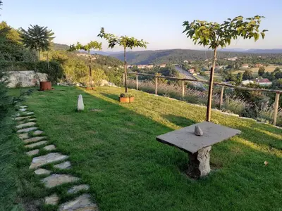 a bench sitting on top of a field with a tree at Apartmaji in sobe Odlična hiša Štanjel in Štanjel