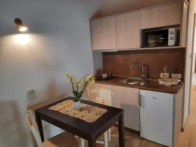 a small kitchen with a table and a small kitchen with a sink at Apartmaji in sobe Odlična hiša Štanjel in Štanjel