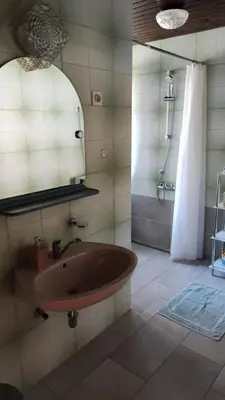 a bathroom with a tub and a shower and a mirror at Apartment V&N, LAKE BOHINJ in Bohinj