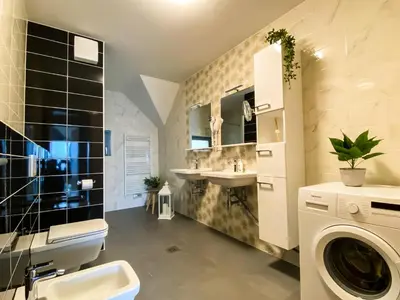 a bathroom with a sink and a washing machine at Lakeview Villa Bled in Bled