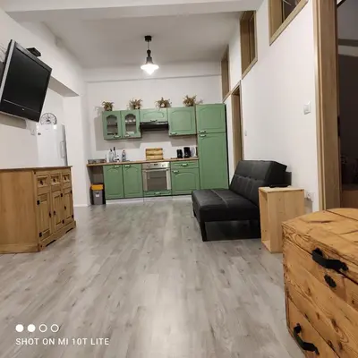 a kitchen with green cabinets and a couch in a room at PRENOČIŠČE 9a in Tolmin
