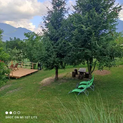 a green bench and a picnic table under a tree at PRENOČIŠČE 9a in Tolmin