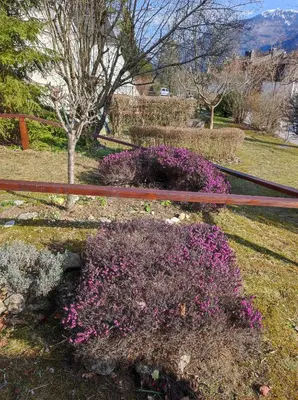 a fence with purple flowers in a yard at Apartment Mojca in Bovec