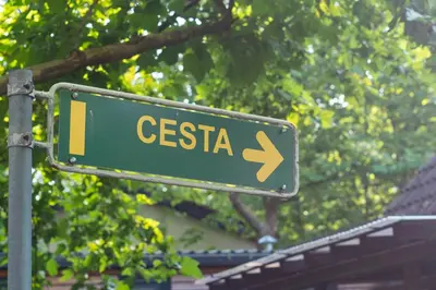 a green street sign with the word cestia on it at Bella Mura Nature Chalet I27 in Podčetrtek