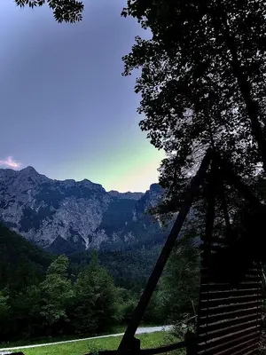 a view of the mountains from a tree at Skalca in Kamniška Bistrica