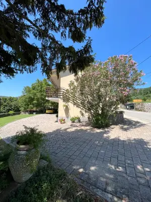 a house with a tree and a brick driveway at Apartmaji Klabjan - Kaki in Osp