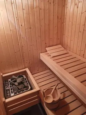 a wooden sauna with a stove and a box of rocks at Gozdarjeva koča nad Rimskimi Toplicami in Dol pri Hrastniku