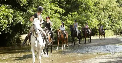 a group of people riding horses through a river at Gozdarjeva koča nad Rimskimi Toplicami in Dol pri Hrastniku