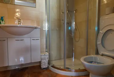 a bathroom with a shower and a toilet and a sink at Apartment Mavrica Bled in Bled