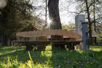 a wooden bench next to a tree in a field at Kamp na Otoku - Ljubno ob Savinji in Ljubno