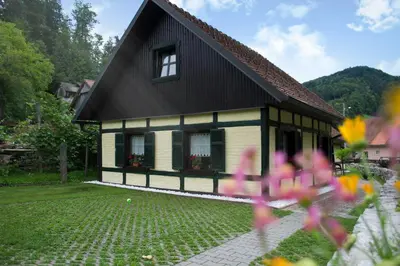 a house with a black roof and a yard with flowers at Hiška ob potoku in Dobrna