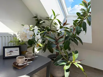 a table with two plants in a room with a window at Deerwood-Sky Attic with Bled Castle View-NO KITCHEN in Bled