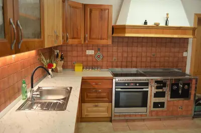 a kitchen with a sink and a stove at Healing Farm in Gorenja Vas
