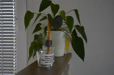 a potted plant sitting next to a bottle of perfume at Zemva Stays - JT Apartma, free bikes, big garden with terrace in Bled