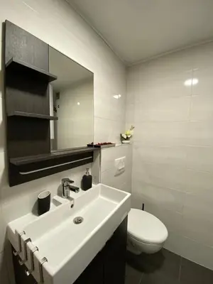 a bathroom with a white sink and a toilet at Apartma LUPIS in Podvolovljek