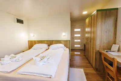a bedroom with two beds and a desk at Mobile House Vegov hram in Dol pri Ljubljani