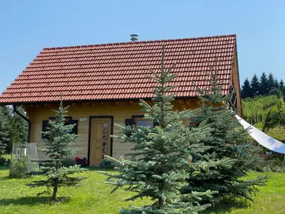 a house with two pine trees in front of it at Loghouse Brunka - Escape from life on a highway in Gornja Radgona