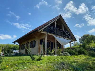 a small wooden house with a roof at Loghouse Brunka - Escape from life on a highway in Gornja Radgona