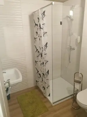 a bathroom with a shower with a glass door at Sobe, Rooms B&B - Vina Kauran in Zgornji Jakobski Dol