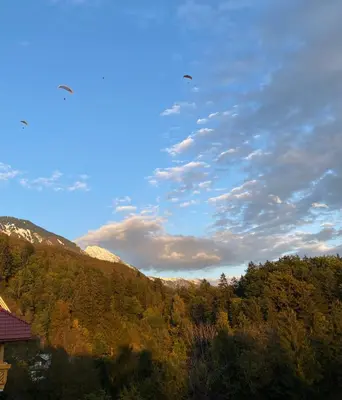 a bird flying in the sky over a mountain at BeeWood apartment in Križe