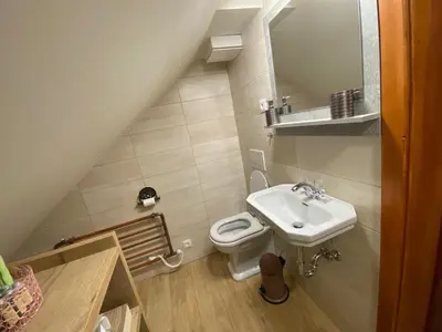 a small bathroom with a sink and a toilet at Villa Ruska dača in Ljubljana