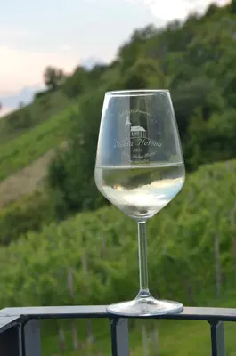 a glass of white wine sitting on a rail at Tanja s Holiday Home in Nature with sauna and hot tub in Gorica pri Slivnici