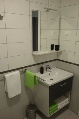a bathroom with a sink and a mirror and towels at Apartmaji Anita in Begunje pri Cerknici